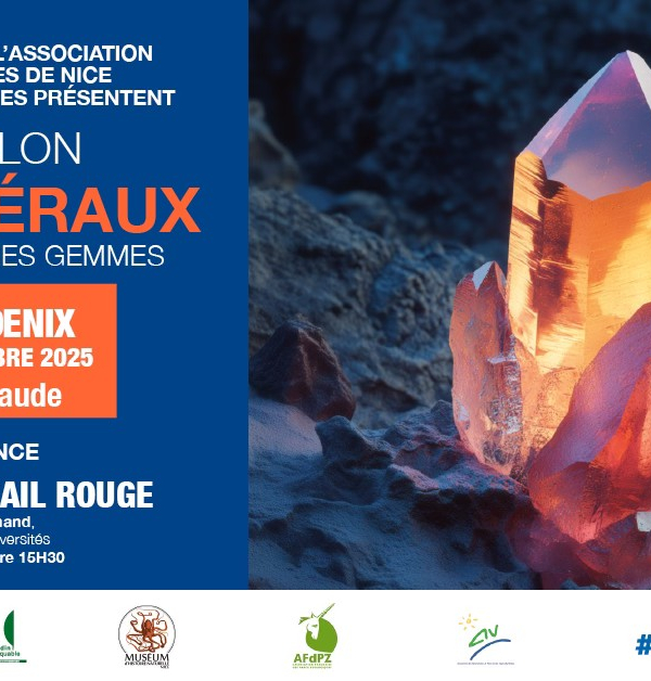 40th Mineral, Fossil and Gemstone Show