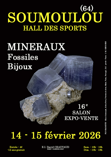 16th Minerals, Fossils and Jewelry Show