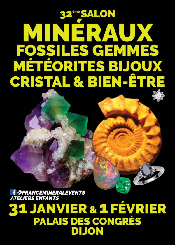 32nd Dijon Mineral Show - Crystals, Fossils, Gems, Meteorites, Jewelry & Wellness