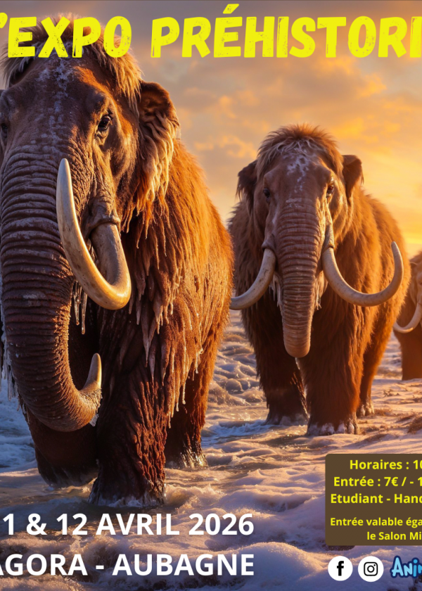 The Prehistoric Expo