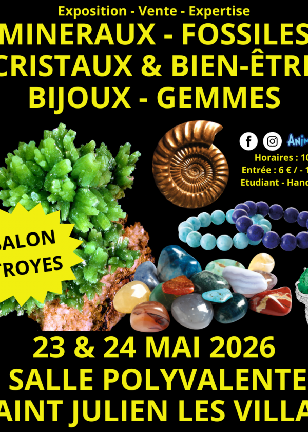 2nd Troyes Minerals and Fossils Fair
