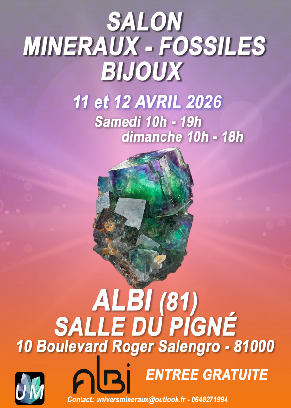 Minerals, fossils, and designer jewelry show.