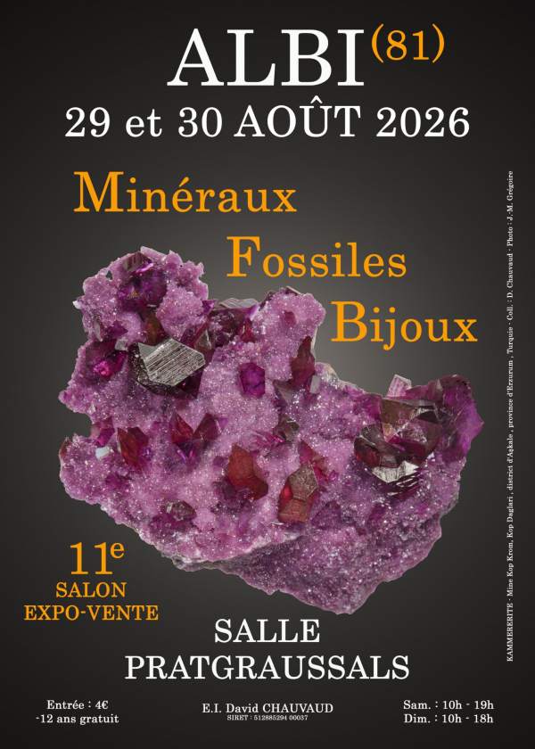 11th Minerals, Fossils and Jewelry Show