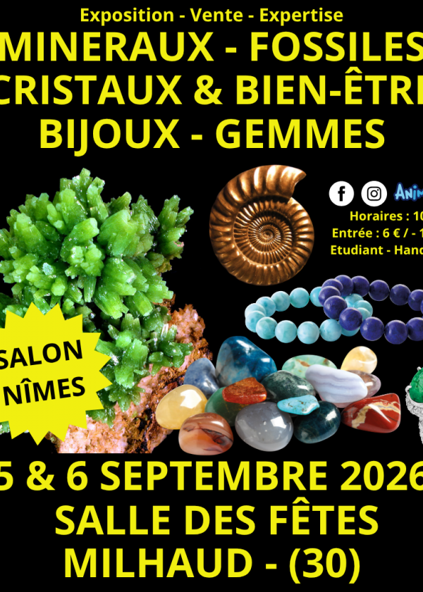 Minerals, Fossils, and Crystals Show