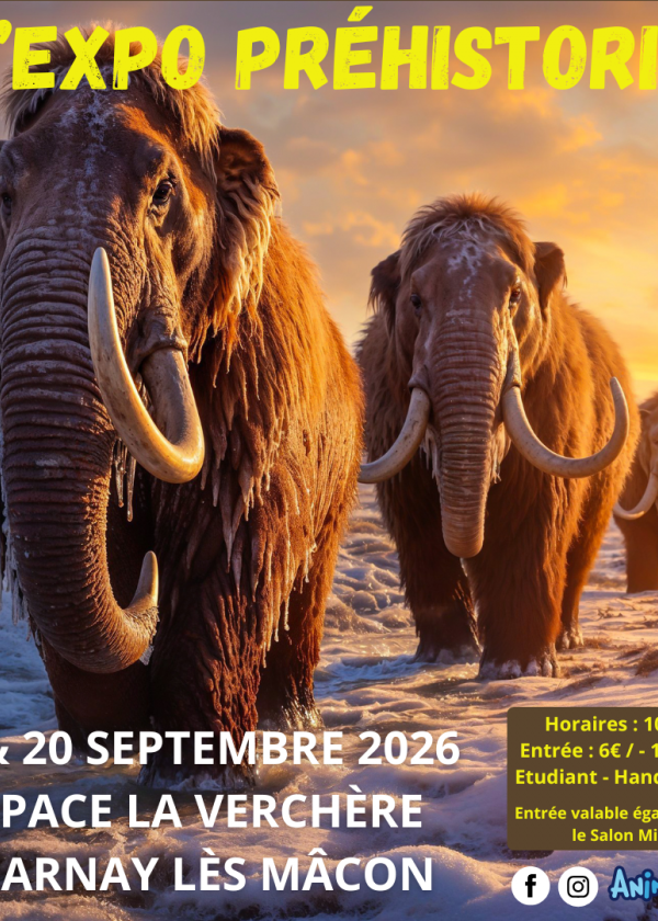 The Prehistoric Exhibition