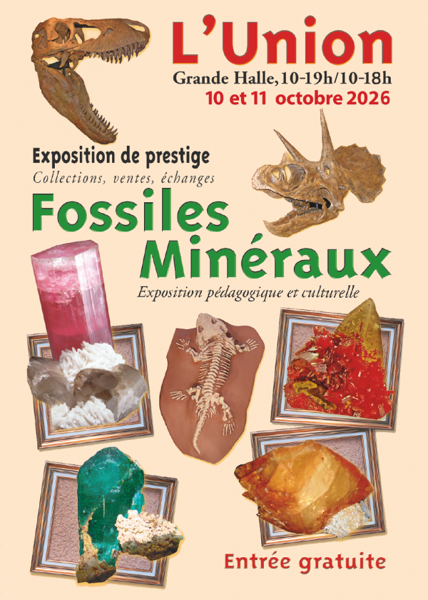 24th Mineral and Fossil Show of L'Union (31)