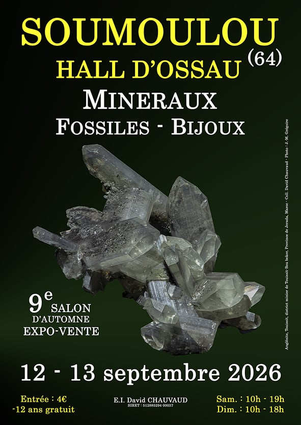 9th Minerals, Fossils and Jewelry Show