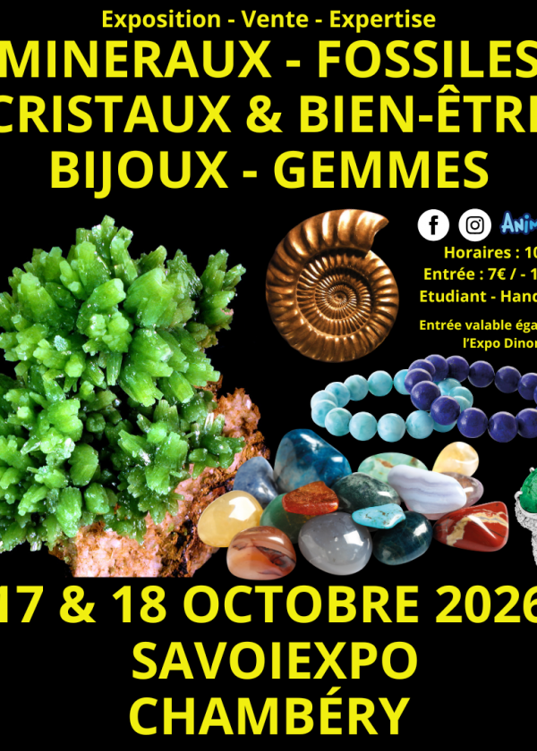 7th Minerals, Fossils, and Crystals Fair