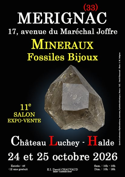 11th Minerals, Fossils and Jewelry Show
