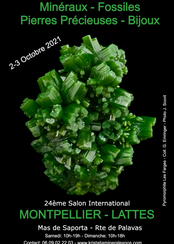 24th international fossil minerals jewelry fair