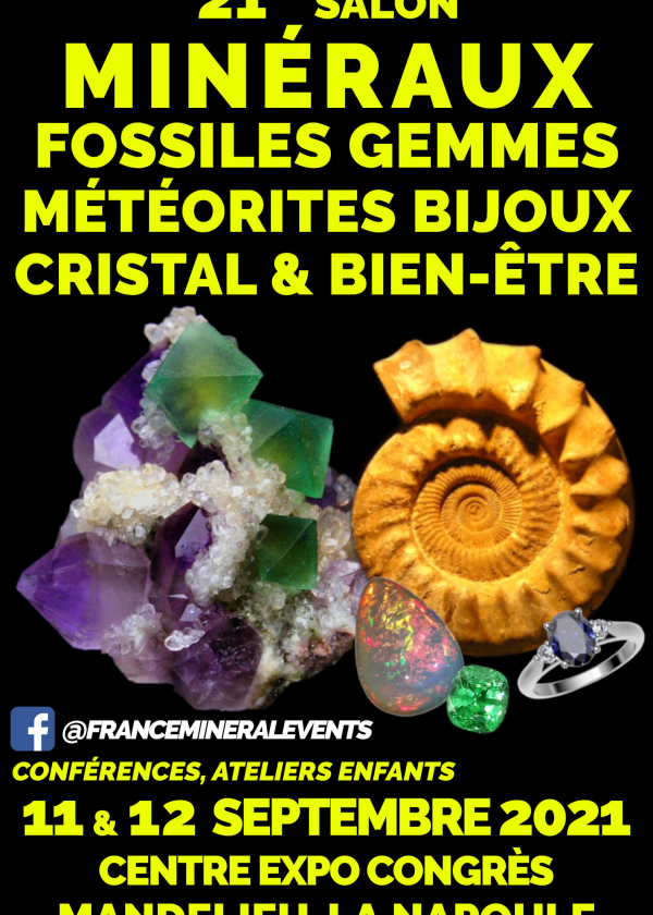 21st Fossil Minerals Gem Fair