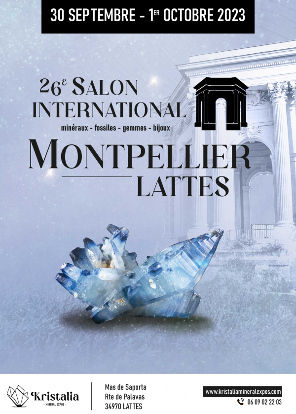 26th International Exhibition of Fossil Minerals Gems and Jewelery of Lattes - Montpellier (34)