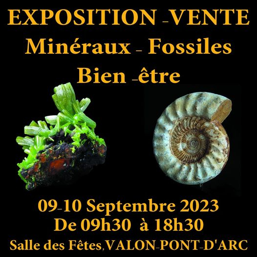 Minerals, fossils, designer jewelry and well-being fair.