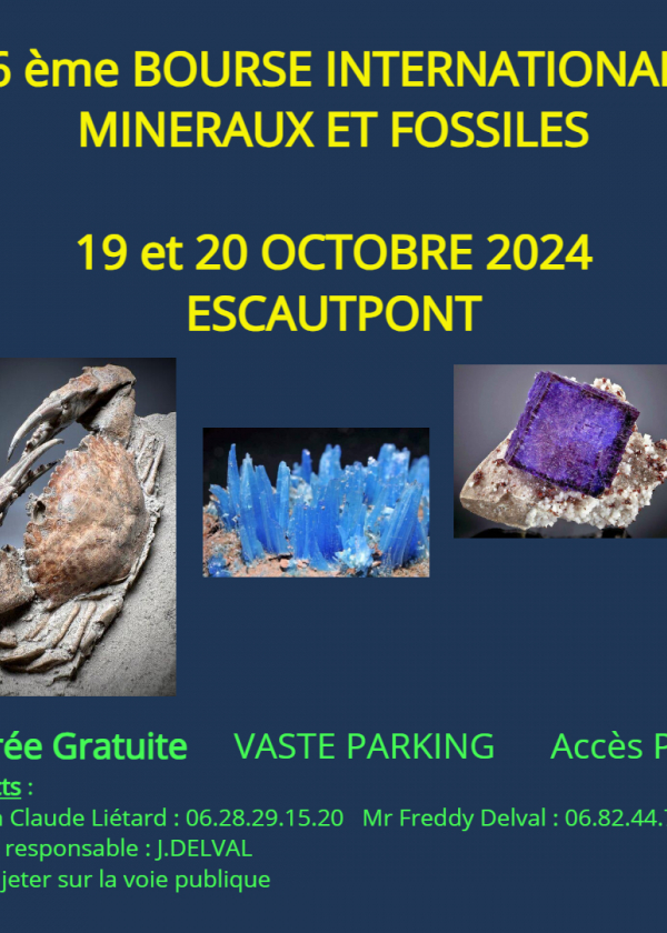 26th International Minerals and Fossils Show