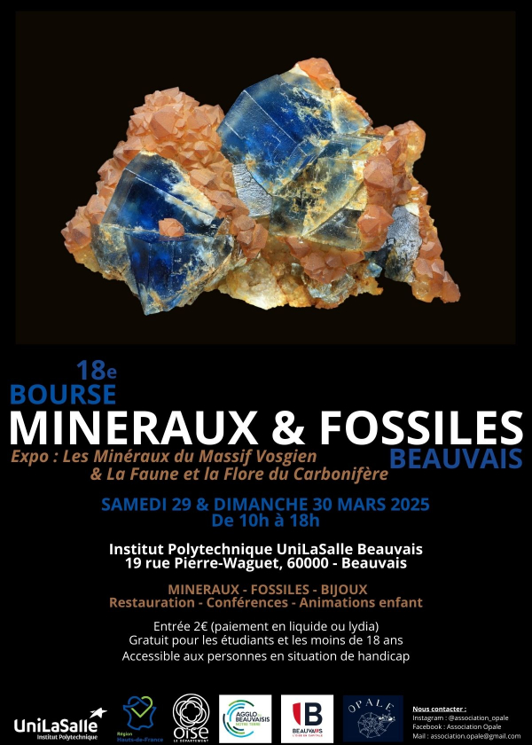 Beauvais Mineral and Fossil Exchange (18th Edition)