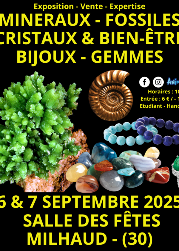 Minerals, Fossils, Crystals & Well-Being Jewelry and Gems Fair in Nîmes Minerals, Fossils, Crystals & Well-Being Jewelry and Gems Fair in Nîmes