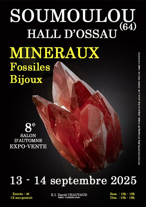 8th Autumn Minerals, Fossils, Jewelry Show