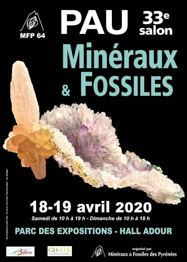 33rd Minerals and Fossils Show