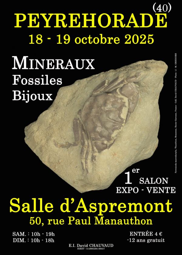 1st MINERALS FOSSILS JEWELRY SHOW