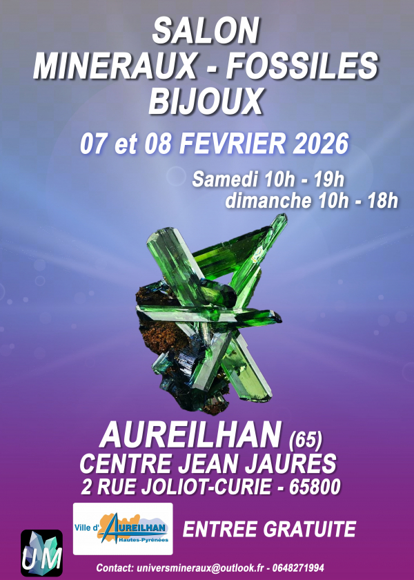 Minerals, fossils, and designer jewelry show.