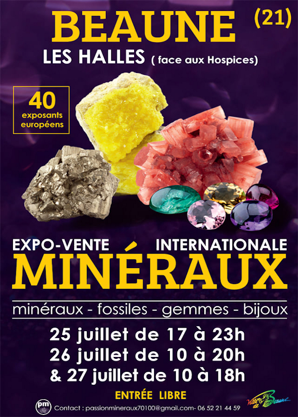 Mineral and fossil fair