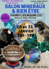 Minerals, fossils, meteorites and well-being show