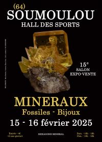 15th Soumoulou mineral fossil jewelry exhibition