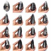 Orthoceras Fossil from Morocco Orthoceras Fossil from Morocco