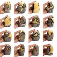 Septaria Rock Septaria Rock