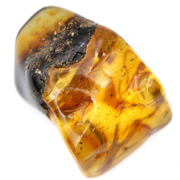 Authentic Polished Amber Pebble from Lithuania - Mineralogy Specimen