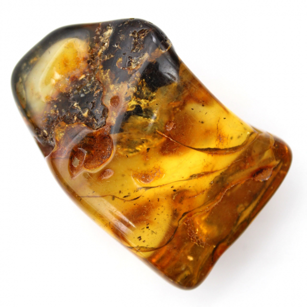 Authentic Polished Amber Pebble from Lithuania - Mineralogy Specimen