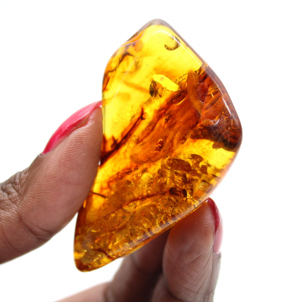 Polished Baltic Amber: Collector's Pebble Specimen