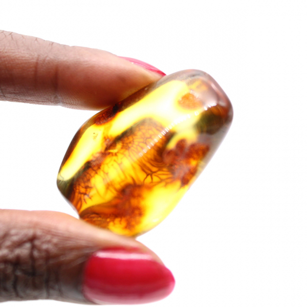 Baltic Amber: Polished Pebble for Mineral Collection