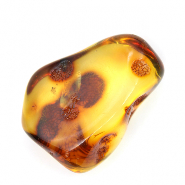 Baltic Amber: Polished Pebble for Mineral Collection