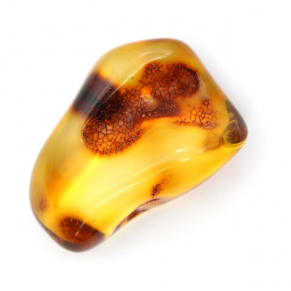 Baltic Amber: Polished Pebble for Mineral Collection