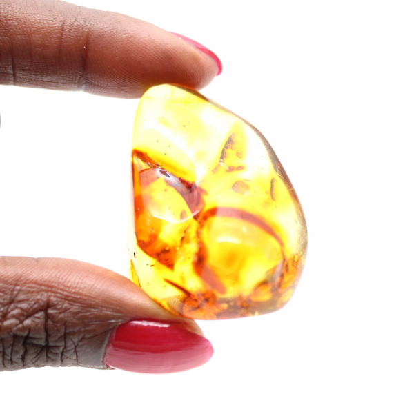 Polished Amber Pebble from Lithuania - Authentic Collector's Item