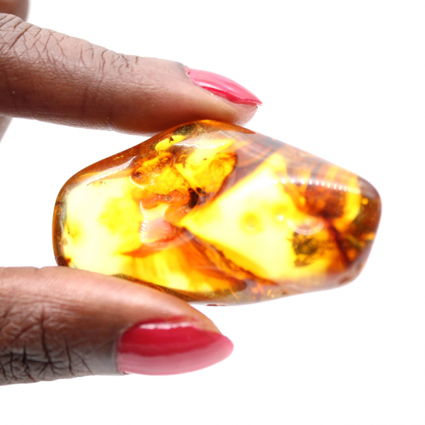 Polished Baltic Amber Specimen - Aesthetics and Decoration
