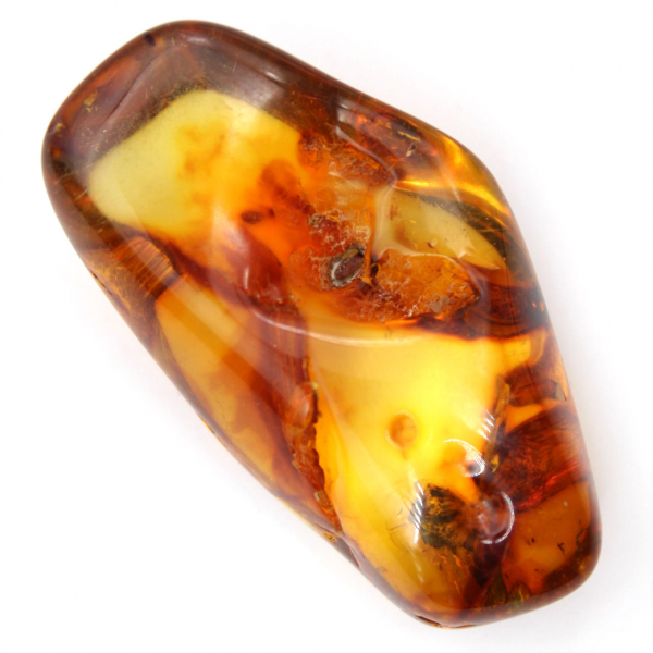 Polished Baltic Amber Specimen - Aesthetics and Decoration