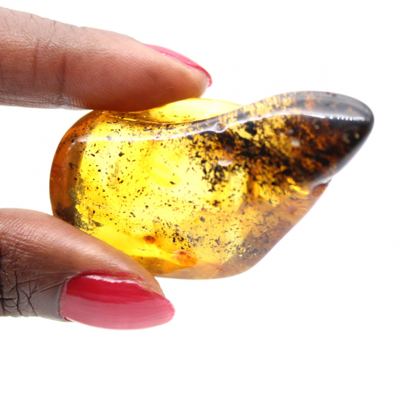 Small Polished Baltic Amber Pebble - Authenticity Guaranteed