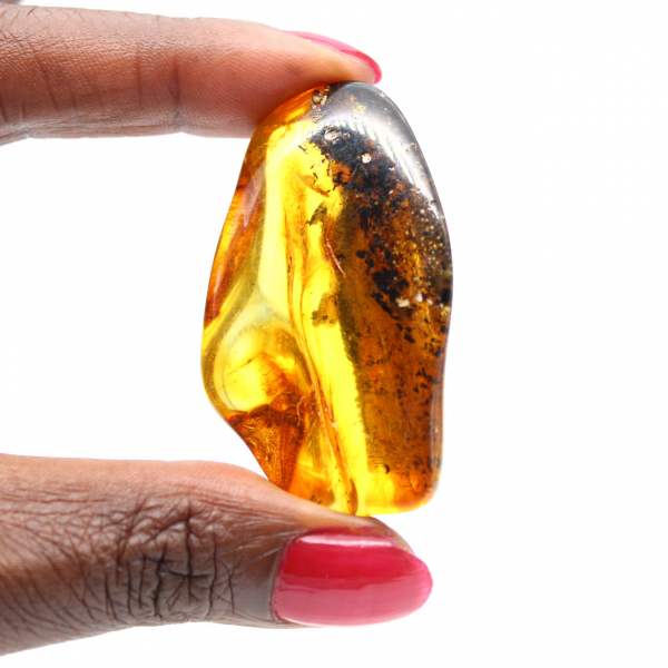 Lithuanian Amber: Aesthetically Polished Pebble for Collections