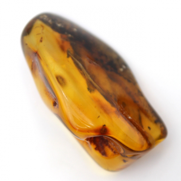 Lithuanian Amber: Aesthetically Polished Pebble for Collections