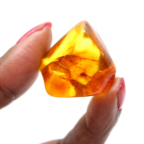 Small Specimen of Polished Amber Pebble - Authentic Lithuania