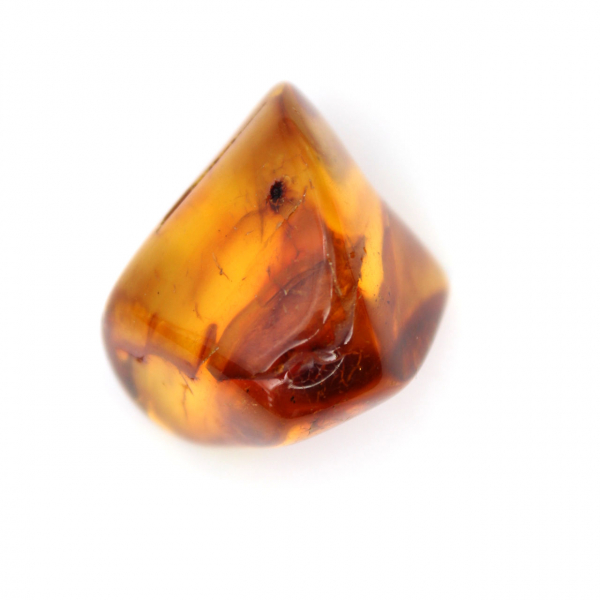 Small Specimen of Polished Amber Pebble - Authentic Lithuania