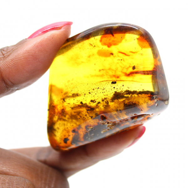 Large Polished Lithuanian Amber Pebble - Collector's Mineral