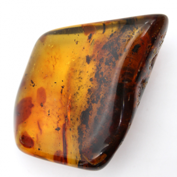 Large Polished Lithuanian Amber Pebble - Collector's Mineral