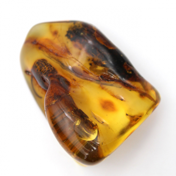 Lithuanian Amber: Polished Pebble for Natural Stone Enthusiasts