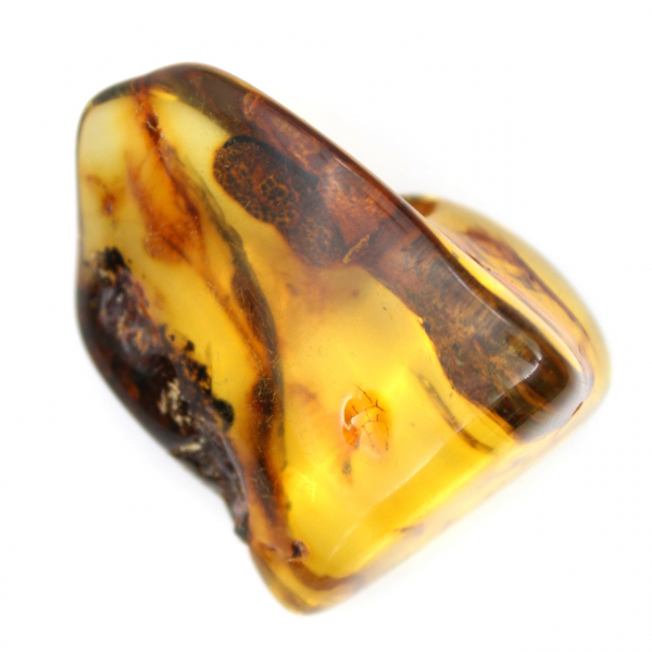 Lithuanian Amber: Polished Pebble for Natural Stone Enthusiasts