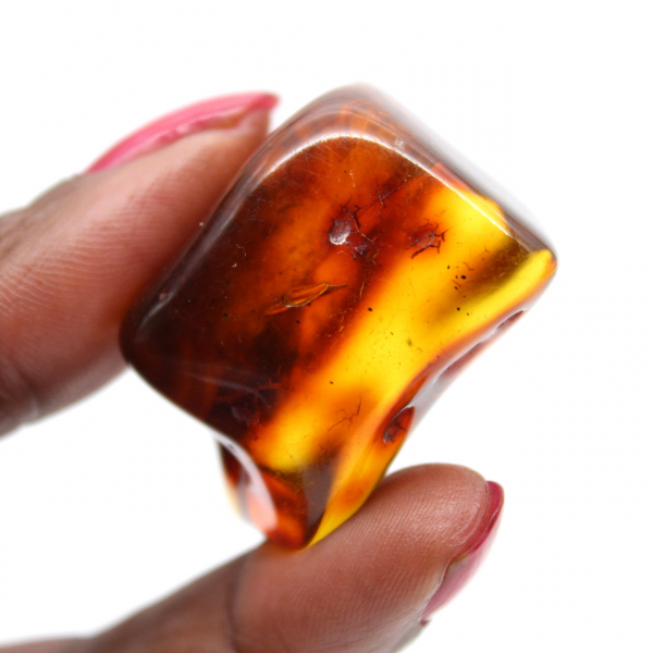 Polished Amber Pebble Specimen - Interior Decoration