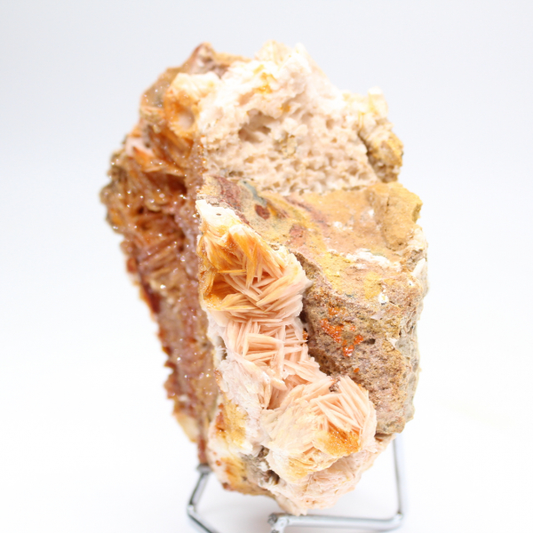 Specimen of compact Moroccan orange barite