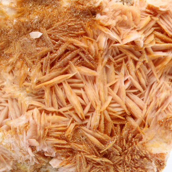 Collectible Moroccan orange barite crystals